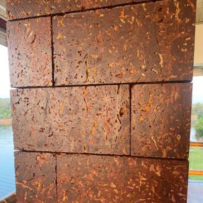 whatsapp image 2026 01 10 at 10.29.06 am (1)